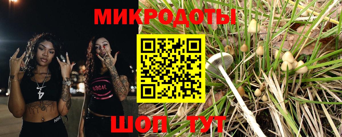 Галлюциногенные грибы Magic Shrooms  Галлюциногенные грибы мицелий  Сибай  Вход с VPN 